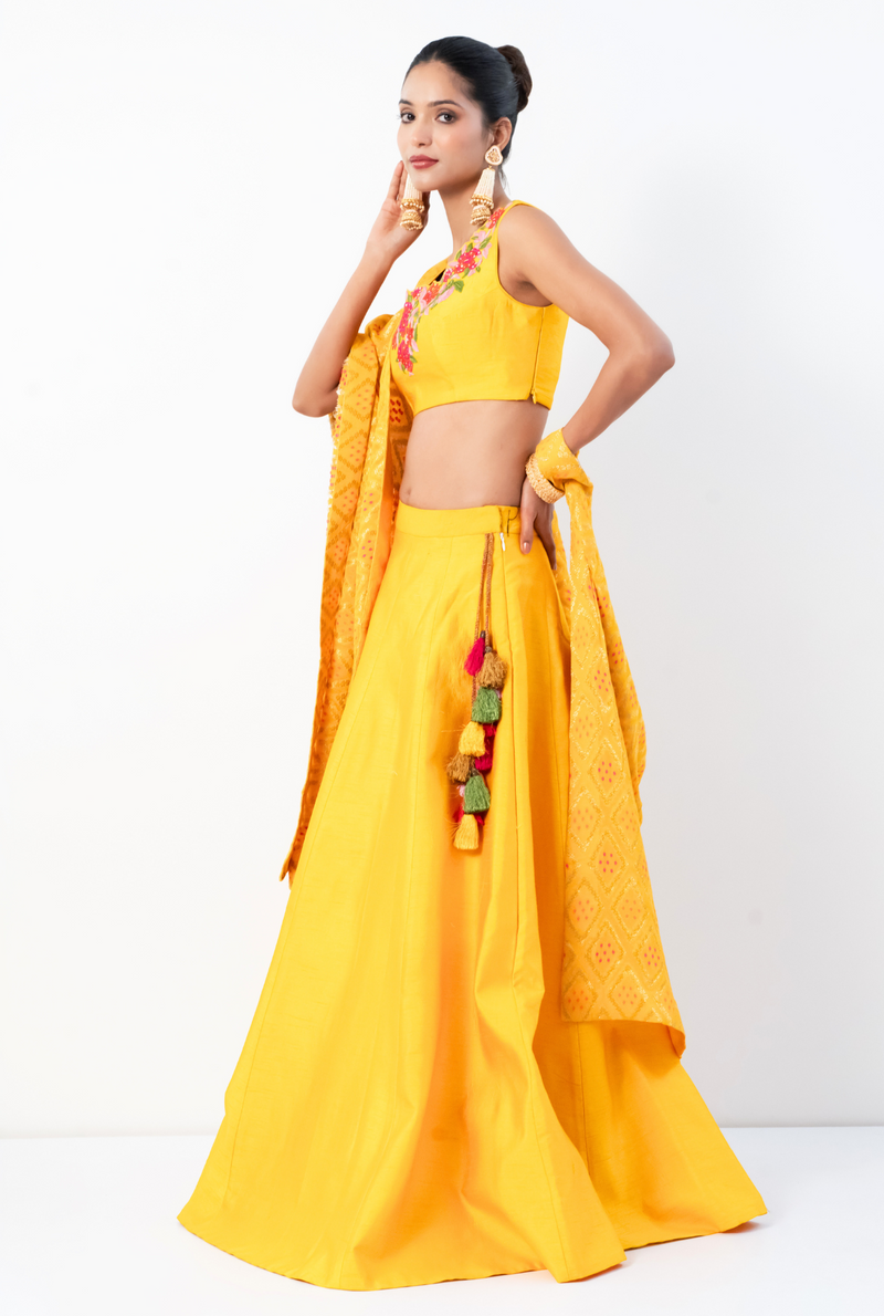 Arunya lehenga | Shades of Yellow