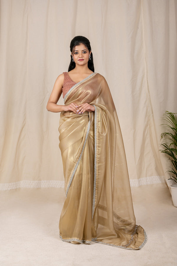 Stunning Golden Shimmer Net Saree