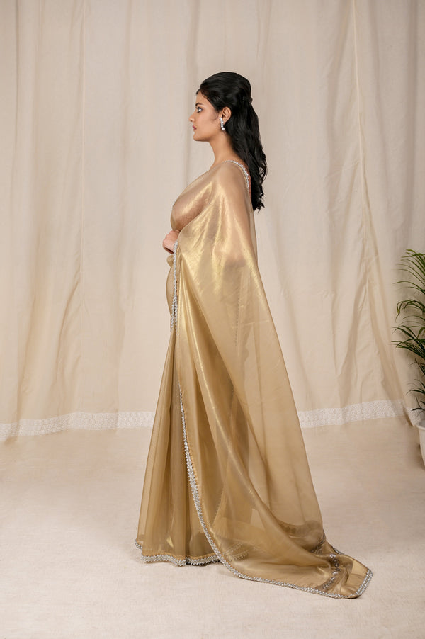 Stunning Golden Shimmer Net Saree